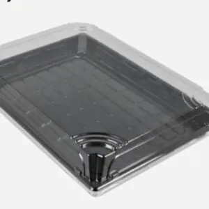 HP-11 Sushi Tray + deksel, omdoos 200 stuks (256x185x20mm ZWART)
