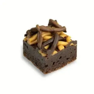 Holtkamp brownie 4,8 x 4,8 cm, 25 stuks, per doos